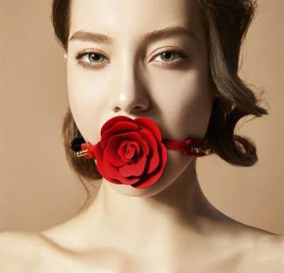 ImageGaucheHaut_400x384_Rose
