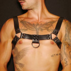 Harnais bulldog en cuir épais et attaches en acier argenté