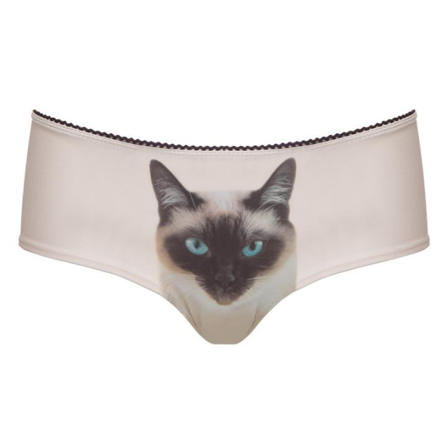 Culotte - Siamese Cat